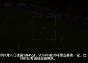 江南体育-瑞典队不敌比利时，惊险晋级欧洲杯