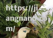 江南体育-波士顿运动员锋芒毕露，闪耀夺取银牌