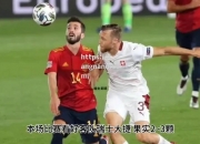 江南体育-瑞士队在欧预赛比赛中实现全胜