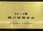 江南体育-重庆队取得胜利，积分榜稳步攀升