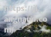 江南体育-达林松随队散步信差香醋色，止步十五