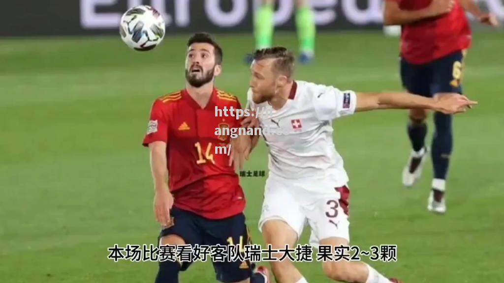 瑞士队在欧预赛比赛中实现全胜